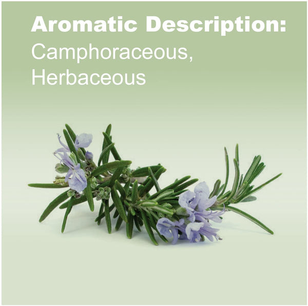 doTERRA Rosemary Essential Oil 15 ml