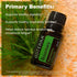 products/ROSMARYUSES.jpg