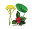 products/deepblueflowers.png